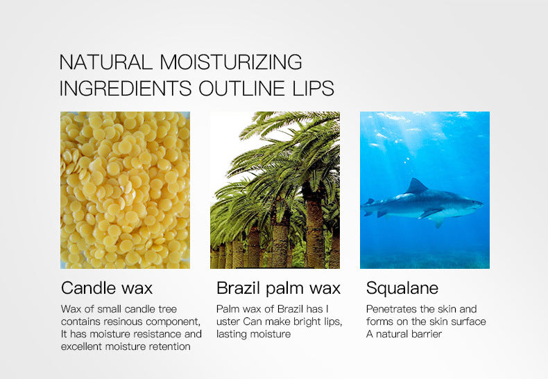 12 Colors/Set Sexy Matte Lipliner - GirlsNightcom